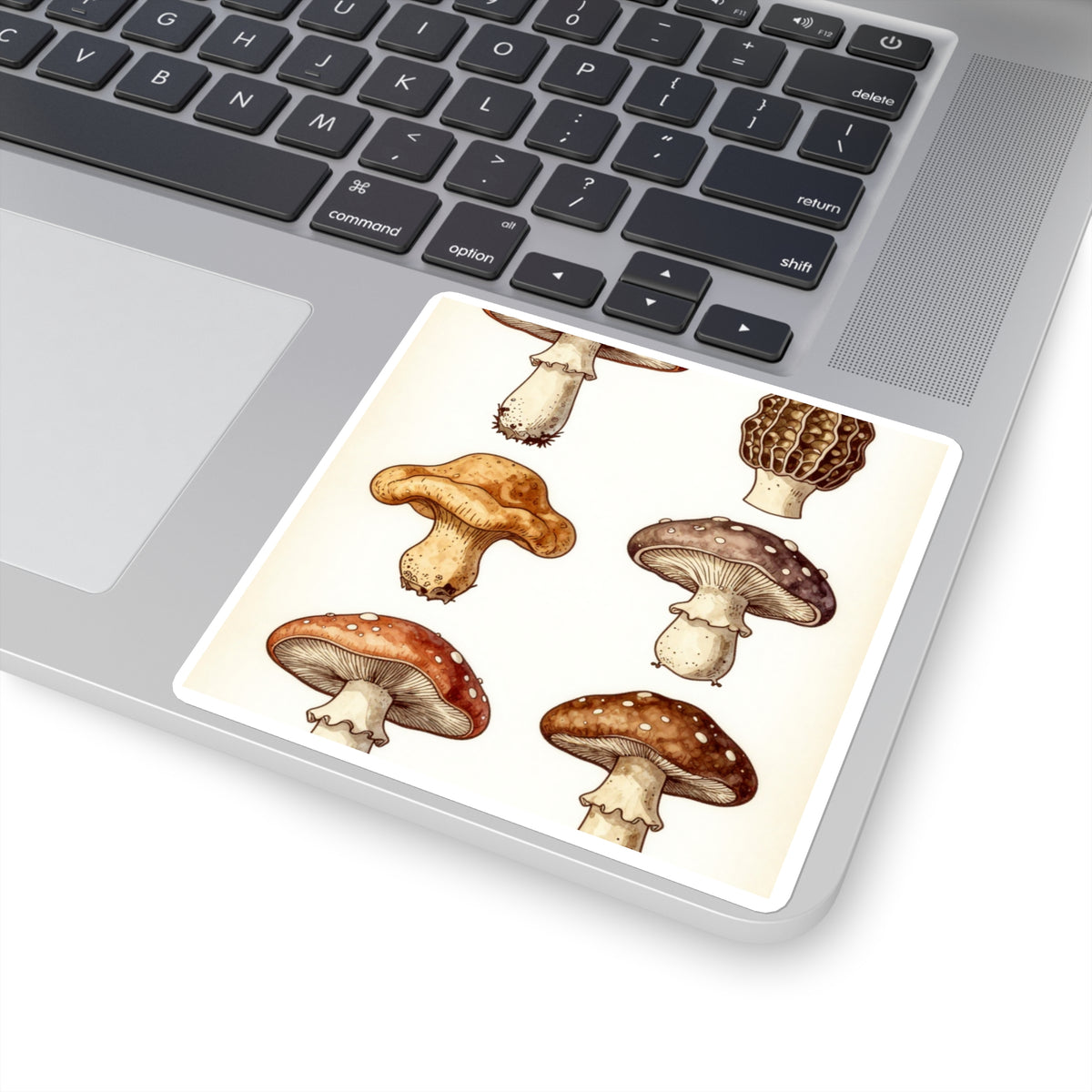 'Fungi Forage' Vintage Botanical Mushroom Sticker Sheet, 4x6in