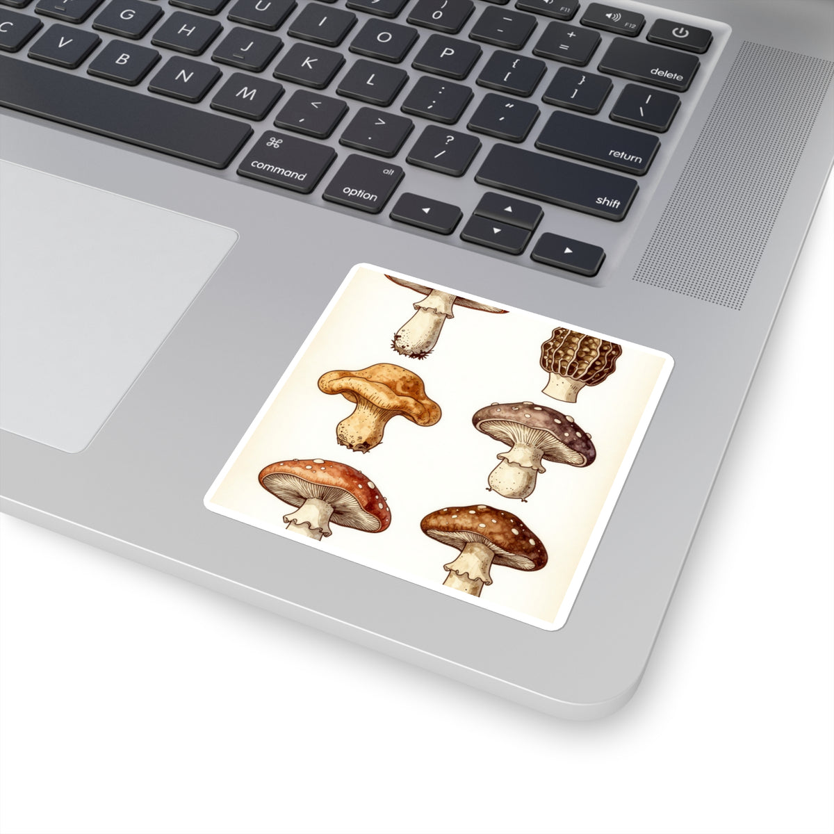 'Fungi Forage' Vintage Botanical Mushroom Sticker Sheet, 4x6in
