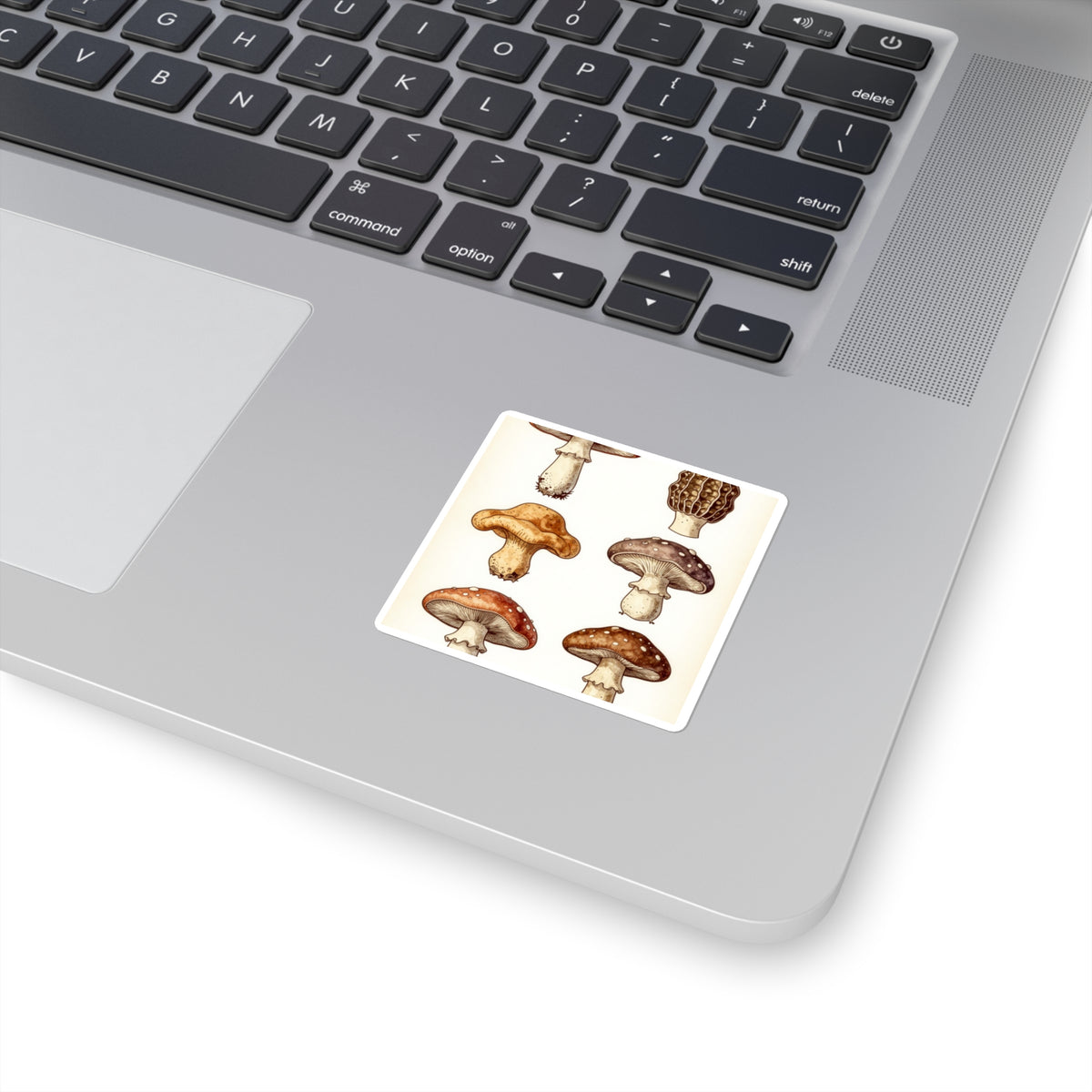 'Fungi Forage' Vintage Botanical Mushroom Sticker Sheet, 4x6in