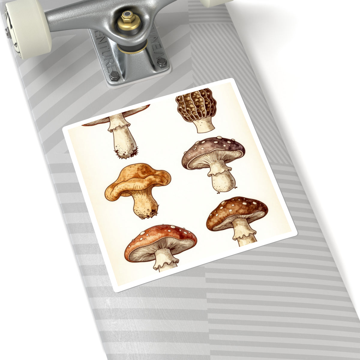 'Fungi Forage' Vintage Botanical Mushroom Sticker Sheet, 4x6in
