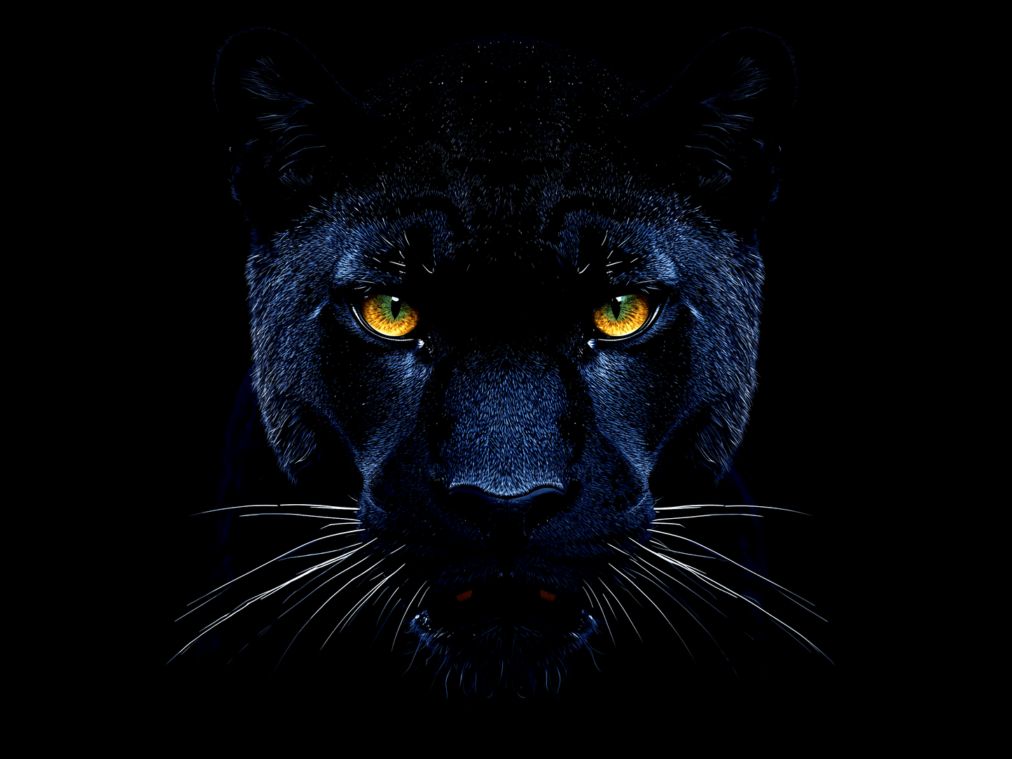 Black panther head portrait