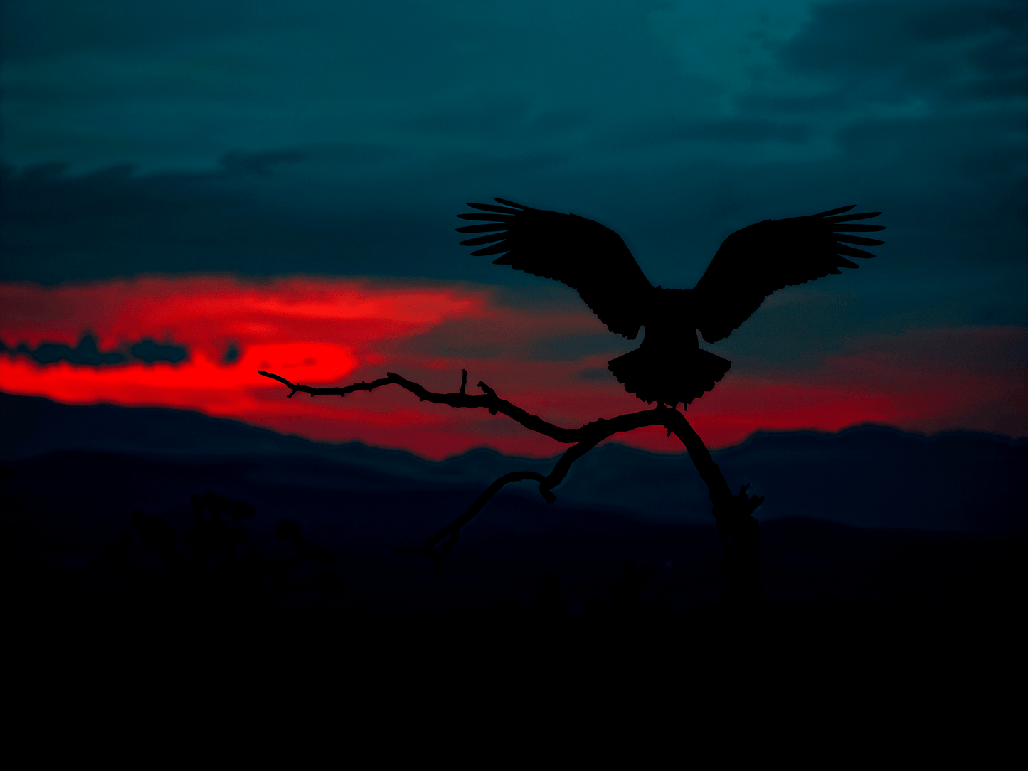 Professional eBay store bann