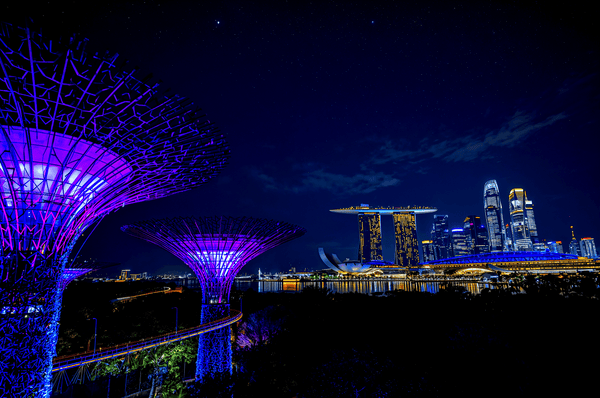 Singapore skyline at night S