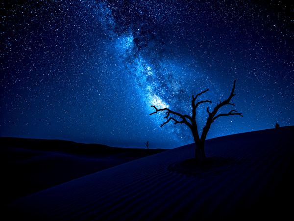 a vast Desert landscape unde